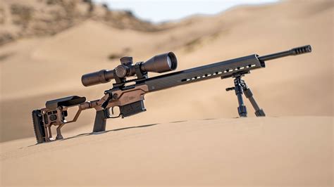 top 10 budget precision rifles